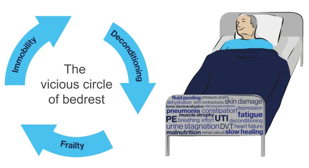 the vicious circle of bedrest